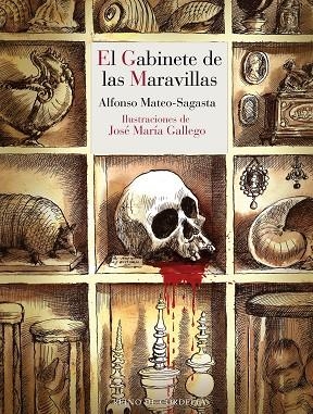 El gabinete de las maravillas | 9788419124746 | Mateo-Sagasta, Alfonso | Librería Castillón - Comprar libros online Aragón, Barbastro