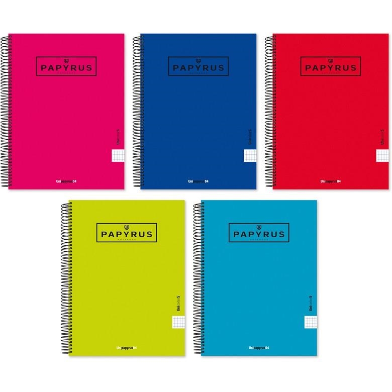 CUADERNO ESPIRAL PAPYRUS A4+ TAPA ENCUADERNADA 120H 90GR CDL 5MM 5 COLORES (COLORES SURTIDOS) | 8413623906895 | Librería Castillón - Comprar libros online Aragón, Barbastro