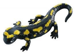 FIGURA SALAMANDRA SCHLEICH | 4059433789446 | Librería Castillón - Comprar libros online Aragón, Barbastro