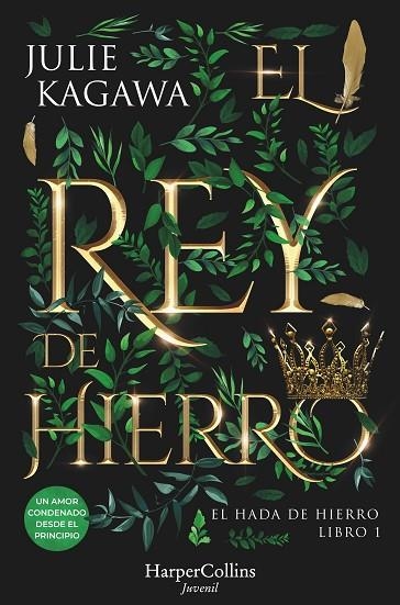 El rey de hierro | 9788410021853 | Kagawa, Julie | Librería Castillón - Comprar libros online Aragón, Barbastro