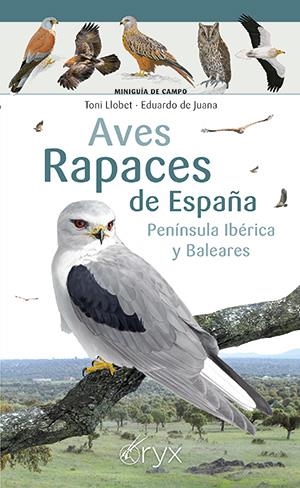 Aves rapaces de España, Península Ibérica y Baleares | 9788418735394 | Llobet, Toni/de Juana, Eduardo | Librería Castillón - Comprar libros online Aragón, Barbastro