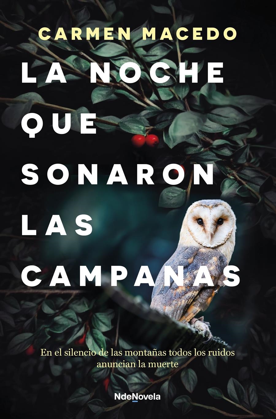 La noche que sonaron las campanas | 9788410140103 | Macedo, Carmen | Librería Castillón - Comprar libros online Aragón, Barbastro