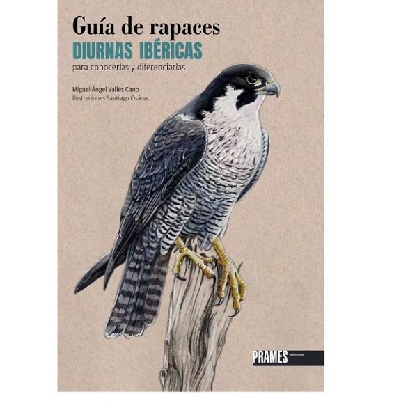 Guía de rapaces diurnas ibéricas para conocerlas y diferenciarlas | 9788483215951 | Vallés Cano, Miguel Ángel | Librería Castillón - Comprar libros online Aragón, Barbastro