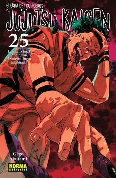 JUJUTSU KAISEN 25 | 9788467971743 | AKUTAMI, GEGE | Librería Castillón - Comprar libros online Aragón, Barbastro