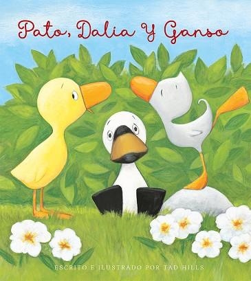 Pato, Dalia y Ganso | 9788491457558 | Hills, Tad | Librería Castillón - Comprar libros online Aragón, Barbastro