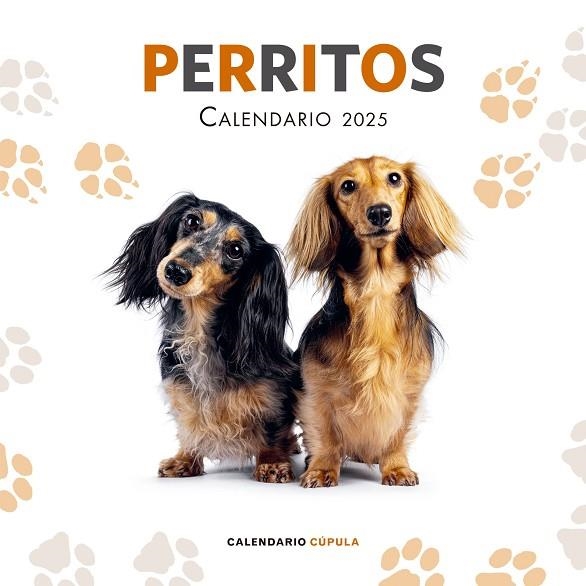 Calendario Perritos 2025 | 9788448041649 | VV.AA. | Librería Castillón - Comprar libros online Aragón, Barbastro