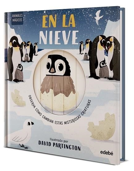 ANIMALES MÁGICOS. EN LA NIEVE | 9788468372105 | Clark, Neil/Stone, Harriet | Librería Castillón - Comprar libros online Aragón, Barbastro