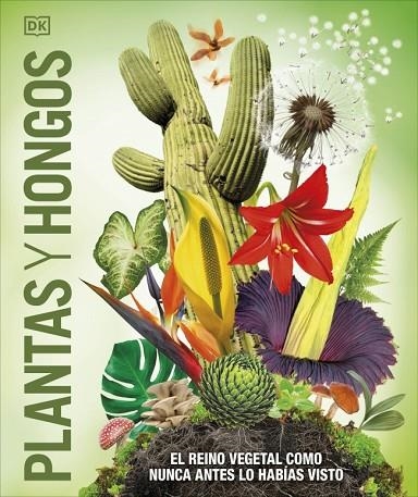 Plantas y hongos (Mundo 3D) | 9780241702956 | DK | Librería Castillón - Comprar libros online Aragón, Barbastro