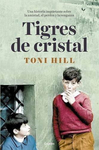 Tigres de cristal | 9788425369537 | Hill, Toni | Librería Castillón - Comprar libros online Aragón, Barbastro