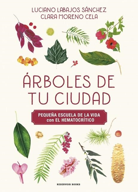 Árboles de tu ciudad (Pequeña escuela de la vida con El Hematocrítico) | 9788419940483 | Labajos Sánchez, Luciano/Moreno, Klari/El Hematocrítico | Librería Castillón - Comprar libros online Aragón, Barbastro