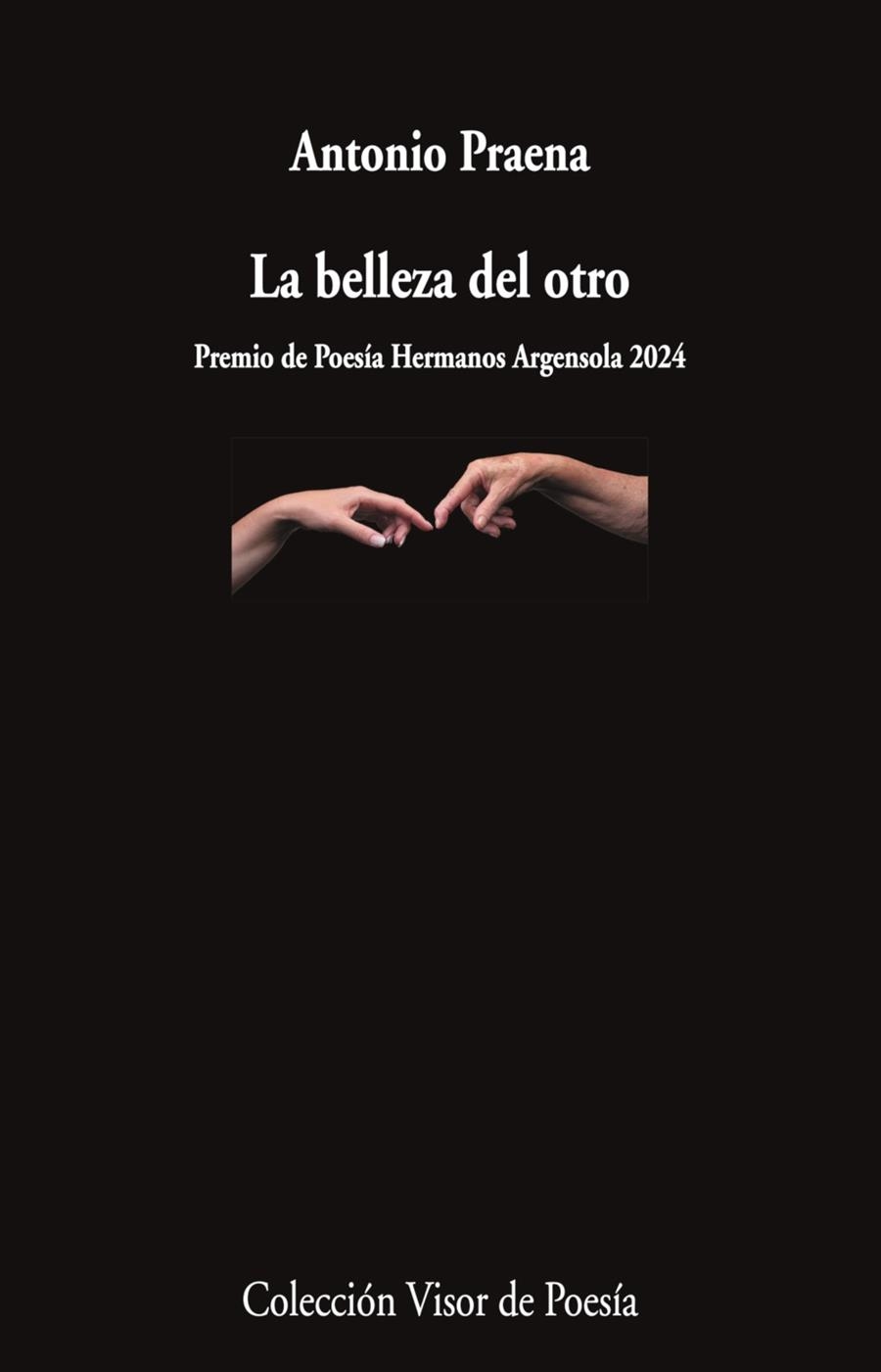 La belleza del otro | 9788498955903 | Praena, Antonio | Librería Castillón - Comprar libros online Aragón, Barbastro