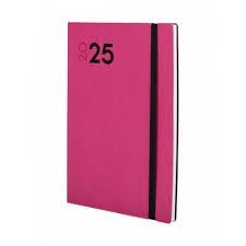 AGENDA 2025 MARA Y10 SEMANA VISTA VERTICAL FUCSIA | 8422952384243 | VICTOR J HERNANDEZ | Librería Castillón - Comprar libros online Aragón, Barbastro