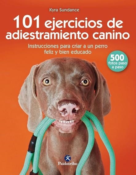 101 Ejercicios de adiestramiento canino | 9788499107332 | Sundance, Kyra | Librería Castillón - Comprar libros online Aragón, Barbastro