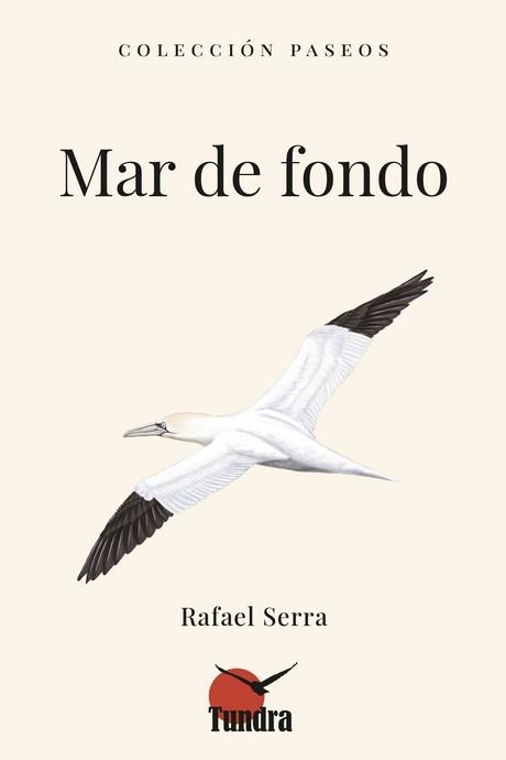 MAR DE FONDO | 9788419624857 | SERRA, RAFAEL | Librería Castillón - Comprar libros online Aragón, Barbastro