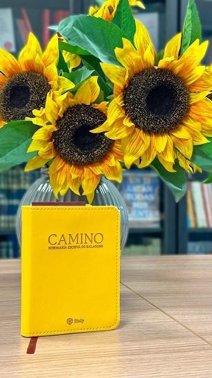 Camino (bolsillo, piel sintética) | 9788432168031 | Escrivá de Balaguer, Josemaría | Librería Castillón - Comprar libros online Aragón, Barbastro