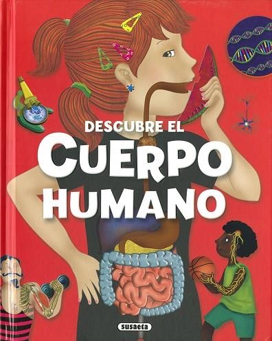 DESCUBRE EL CUERPO HUMANO | 9788411963800 | Estayno, Grisel | Librería Castillón - Comprar libros online Aragón, Barbastro