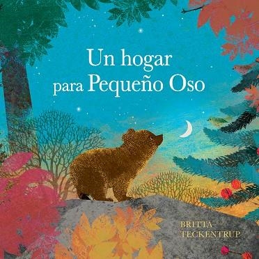 Un hogar para pequeño Oso | 9788410074705 | Teckentrup, Britta | Librería Castillón - Comprar libros online Aragón, Barbastro