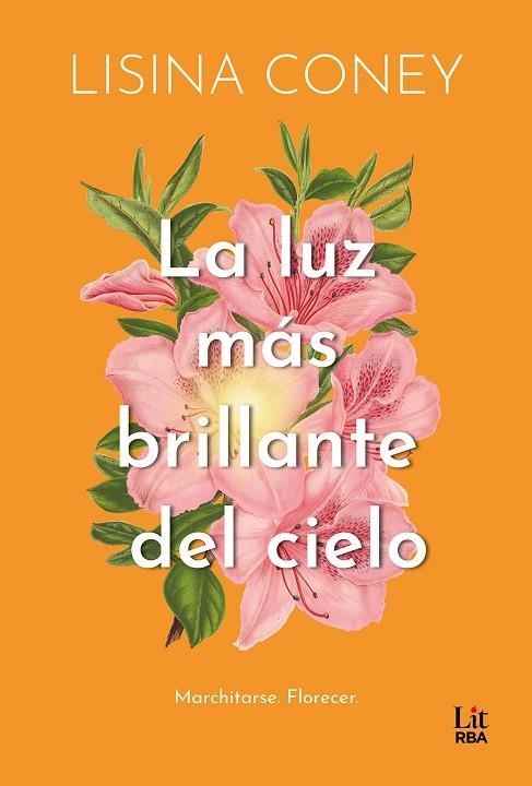 La luz más brillante del cielo | 9788411329323 | Coney, Lisina | Librería Castillón - Comprar libros online Aragón, Barbastro