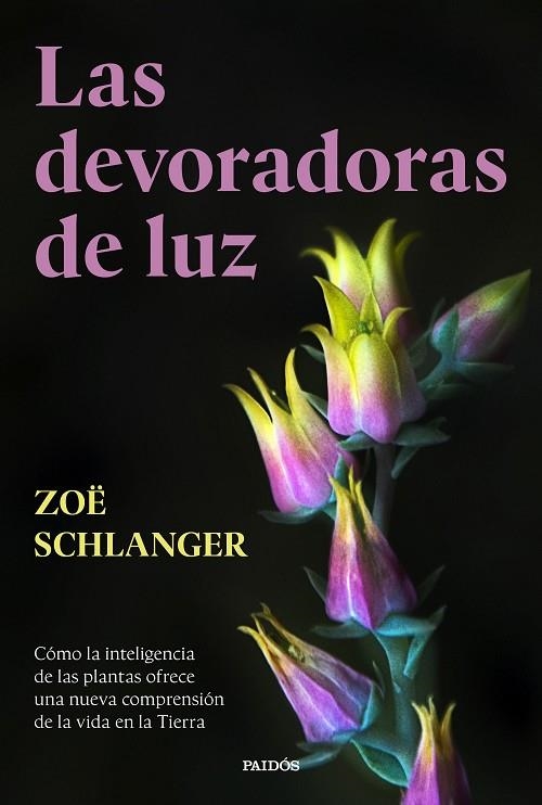 Las devoradoras de luz | 9788449343742 | Schlanger, Zoë | Librería Castillón - Comprar libros online Aragón, Barbastro