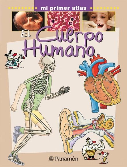 CUERPO HUMANO, EL - MI PRIMER ATLAS | 9788434227057 | Librería Castillón - Comprar libros online Aragón, Barbastro