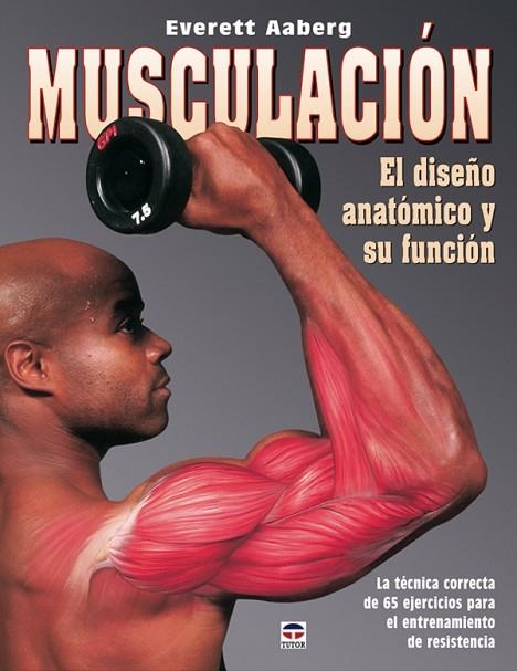 MUSCULACIÓN. EL DISEÑO ANATÓMICO Y SU FUNCIÓN | 9788479025960 | Aaberg, Everett | Librería Castillón - Comprar libros online Aragón, Barbastro