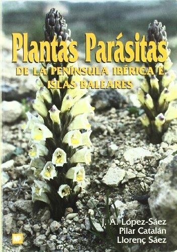 BIOCOMBUSTIBLES, LOS | 9788484760177 | CAMPS MICHELENA, M.; MARCOS, F. | Librería Castillón - Comprar libros online Aragón, Barbastro