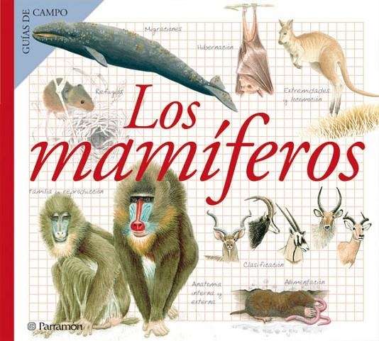 MAMIFEROS, LOS - GUIA DE CAMPO | 9788434228375 | Julivert Zamarreño, Àngels | Librería Castillón - Comprar libros online Aragón, Barbastro