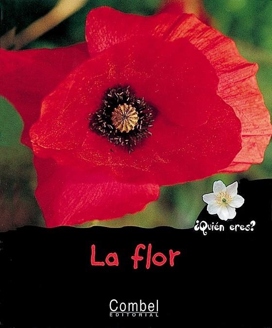 FLOR, LA - ¿QUIEN ERES? | 9788478643400 | RENNERT, VIOLETTE | Librería Castillón - Comprar libros online Aragón, Barbastro