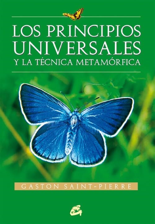 PRINCIPIOS UNIVERSALES Y LA TECNICA METAMORFICA, LOS | 9788484451235 | SAINT-PIERRE, GASTON | Librería Castillón - Comprar libros online Aragón, Barbastro