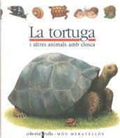 TORTUGA, LA (CATALA) (MON MERAVELLOS) | 9788476298206 | HOUBRE, GILBERT | Librería Castillón - Comprar libros online Aragón, Barbastro