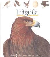 AGUILA, L' (MON MERAVELLOS) | 9788476298220 | BOUR, LAURA | Librería Castillón - Comprar libros online Aragón, Barbastro