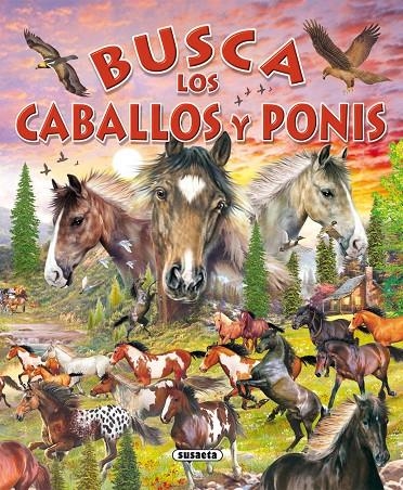 BUSCA LOS CABALLOS Y PONIS | 9788430557998 | Librería Castillón - Comprar libros online Aragón, Barbastro