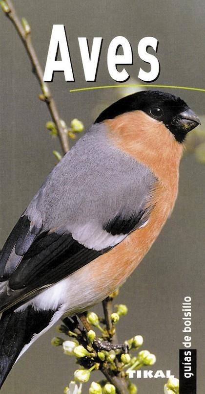 AVES - GUIAS DE BOLSILLO | 9788430558902 | Librería Castillón - Comprar libros online Aragón, Barbastro