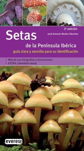 SETAS DE LA PENINSULA IBERICA - GGNAT ED.07 | 9788424115050 | MUÑOZ SANCHEZ, JOSE ANTONIO | Librería Castillón - Comprar libros online Aragón, Barbastro