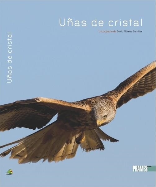 UÑAS DE CRISTAL | 9788483213018 | GOMEZ SAMITIER, DAVID Y EMILIO | Librería Castillón - Comprar libros online Aragón, Barbastro