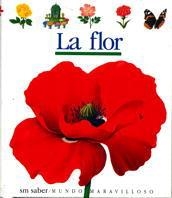 MUM. 8 LA FLOR | 9788434835375 | Mettler, René/Delafosse, Claude/Gallimard Jeunesse, Éditions | Librería Castillón - Comprar libros online Aragón, Barbastro