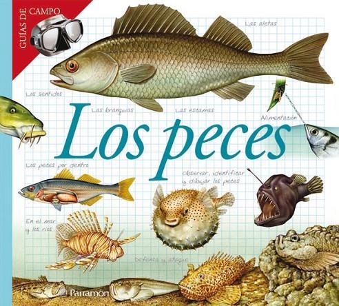 PECES, LOS - GUIAS DE CAMPO | 9788434228412 | Librería Castillón - Comprar libros online Aragón, Barbastro