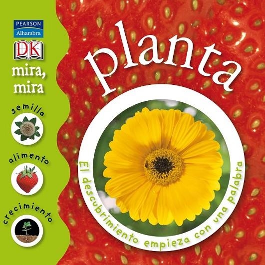 PLANTA - MIRA MIRA | 9788420551838 | ARLON, PENELOPE | Librería Castillón - Comprar libros online Aragón, Barbastro