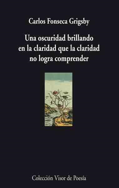 UNA OSCURIDAD BRILLANDO EN LA CLARIDAD QUE LA CLARIDAD NO LO | 9788475226811 | FONSECA GRIGSBY, CARLOS | Librería Castillón - Comprar libros online Aragón, Barbastro