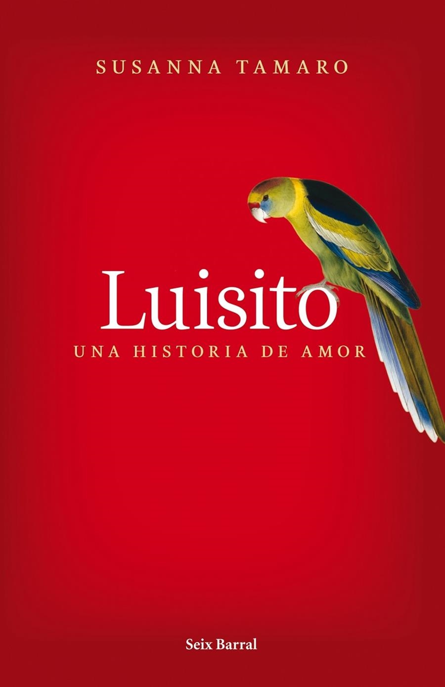 LUISITO : UNA HISTORIA DE AMOR | 9788432231841 | TAMARO, SUSANA | Librería Castillón - Comprar libros online Aragón, Barbastro