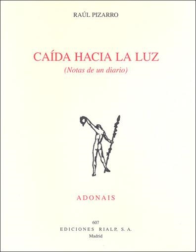 CAIDA HACIA LA LUZ (PREMIO FLORENTINO PEREZ-EMBID 2008) | 9788432137068 | PIZARRO PEREZ, RAUL SALVADOR | Librería Castillón - Comprar libros online Aragón, Barbastro