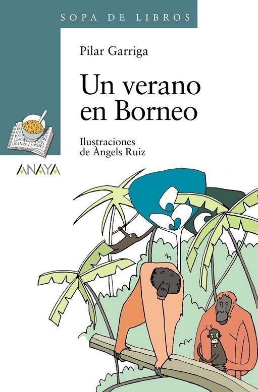 UN VERANO EN BORNEO - SOPA DE LIBROS | 9788466784283 | GARRIGA, PILAR | Librería Castillón - Comprar libros online Aragón, Barbastro